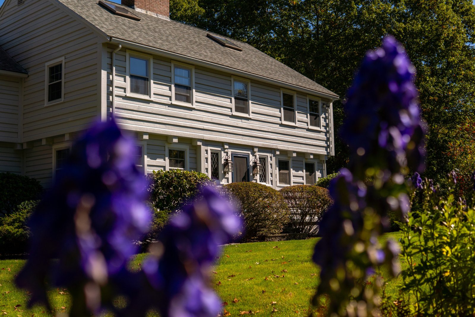 Ground-level view of a two-story home with light gray horizontal siding and white trim, partially framed by out-of-focus purple flowers in the foreground. Sunlight highlights the manicured lawn, shrubs, and the home’s symmetrical windows, with tall trees in the background.